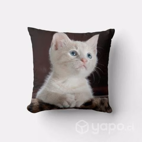 Cojínes con el diseño de tu mascota