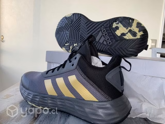 Adidas basketball ownthegame