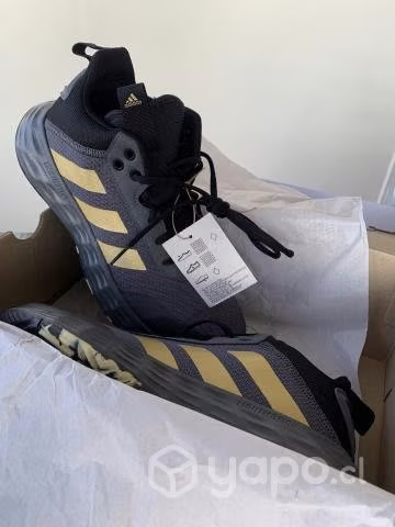 Adidas basketball ownthegame