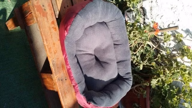 Camas Para perros