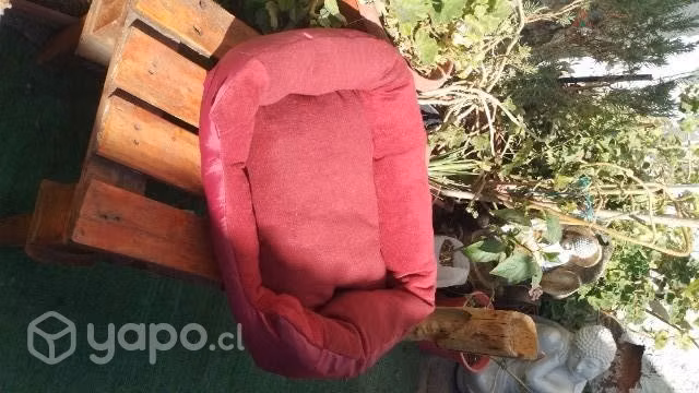 Camas Para perros - Imagen 5