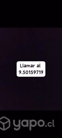 Terneros - Imagen 2