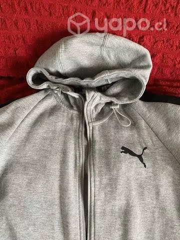 Poleron puma