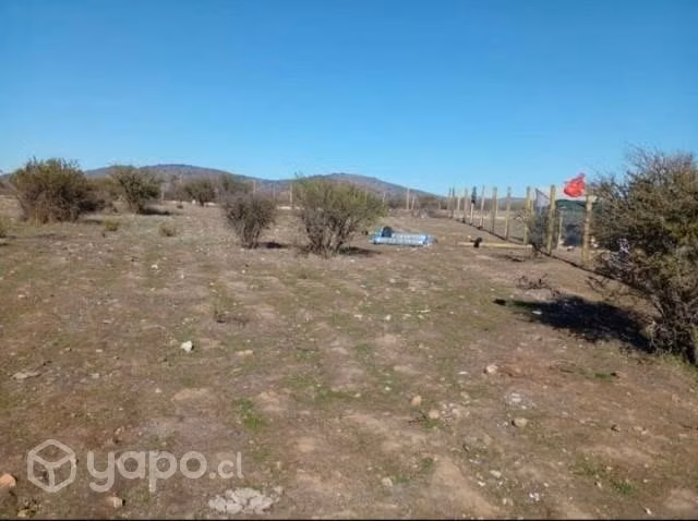 Plana 5000mt2