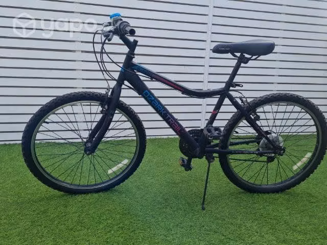 Bicicleta aro 24