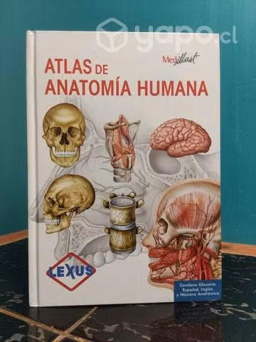 Libro atlas de anatomía humana