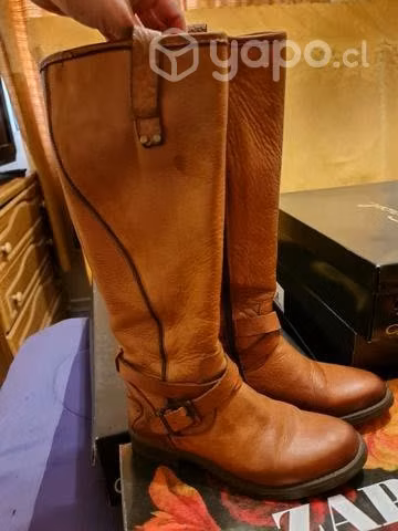 Bota Aldo 36