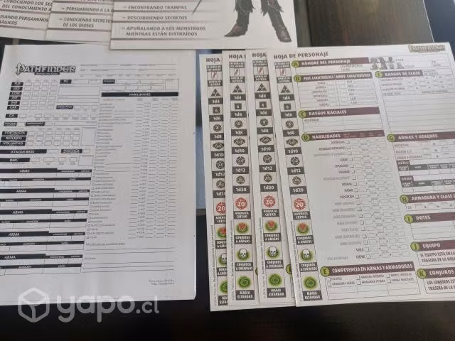 Set de iniciado 1 edicion de pathfinder