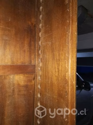 Librero madera noble