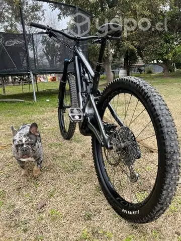 Specialized Turbo Levo Expert 2022 - Imagen 5