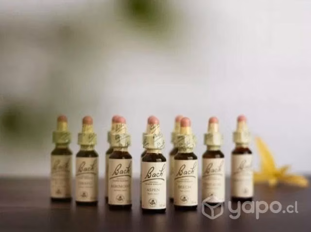 Kit flores de Bach Originales de Inglaterra.