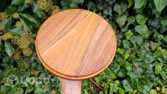 Platos de Madera Nativa