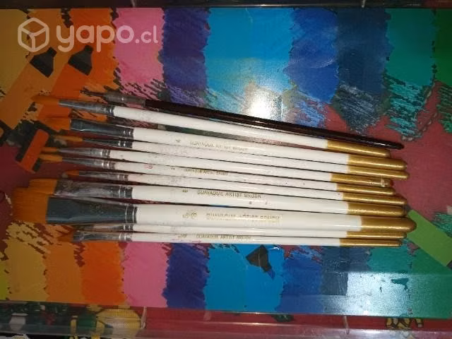 Set pinturas para porcelana + set de pinceles