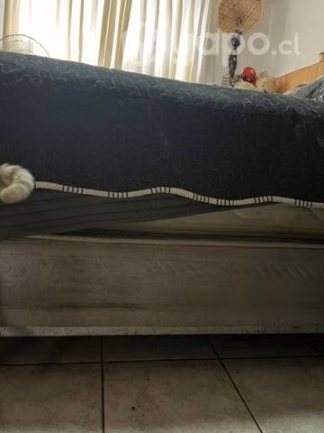 Cama king