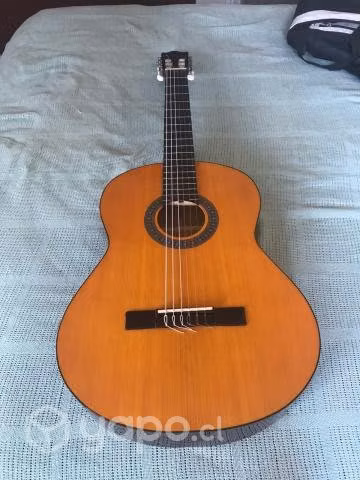 Guitarra acústica Ibanez + funda
