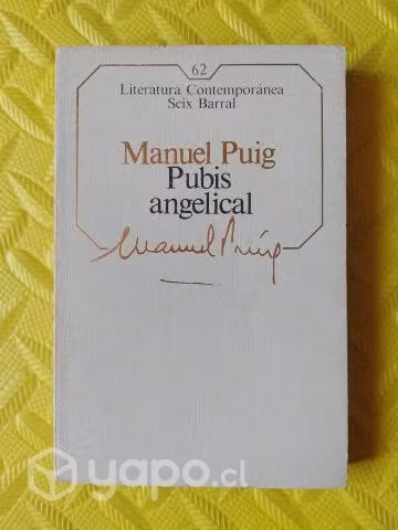 Pubis angelical - Manuel Puig