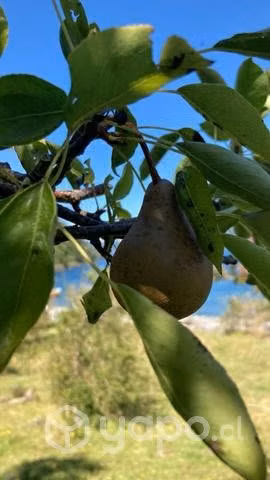 Se vende campo