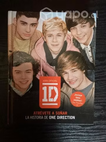 Atrévete a soñar, La historia de One Direction