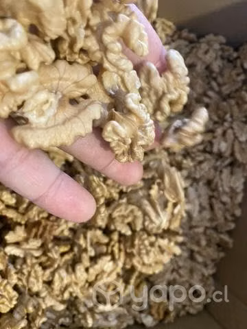 Nueces chandler de la temporada