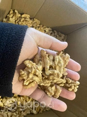 Nueces chandler de la temporada