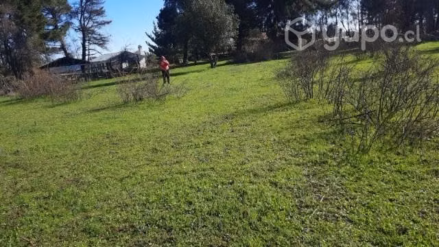 2 hectáreas sector dicahue