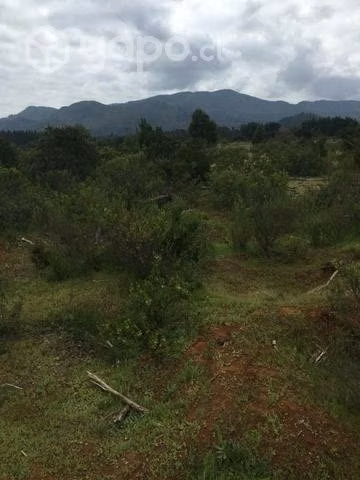 Terreno rabones