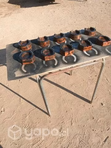 Seniceros rusticos