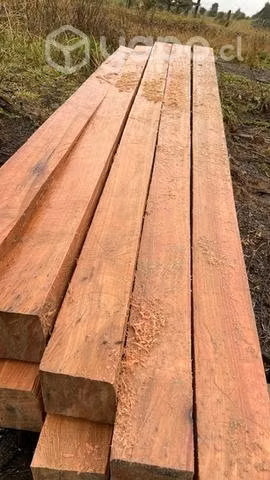Estacones de coihue