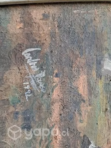 Bonito y bien cuidado