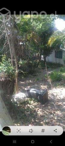 Sitio con casa antigua - Imagen 6