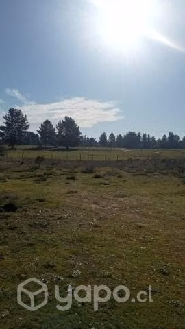 Parcela de 10.000mt2. con casa - Imagen 2