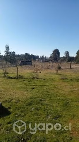 Parcela de 10.000mt2. con casa - Imagen 3
