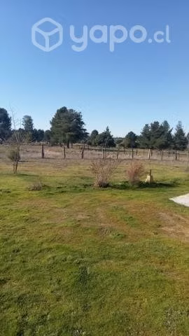 Parcela de 10.000mt2. con casa - Imagen 4