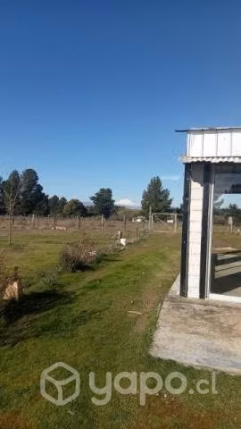 Parcela de 10.000mt2. con casa - Imagen 5