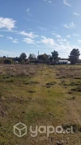Parcela de 10.000mt2. con casa