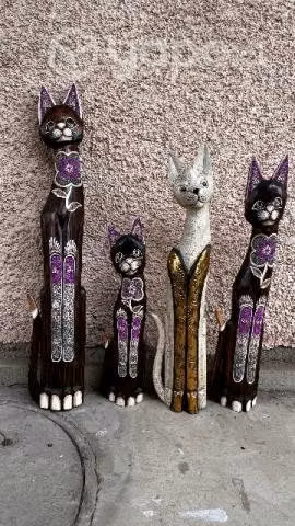 Colección gatos.