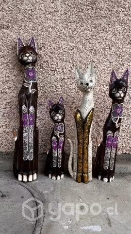 Colección gatos.