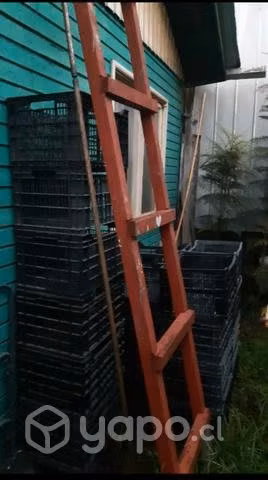 Cajas plasticas