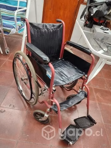 silla de ruedas y burrito - Imagen 3