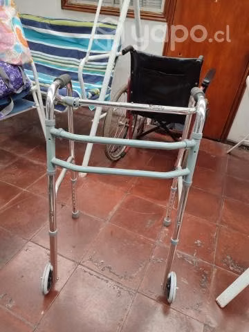 silla de ruedas y burrito - Imagen 2