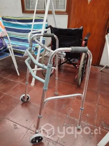 silla de ruedas y burrito