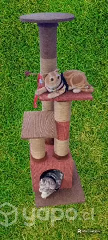Rascadores de gatos