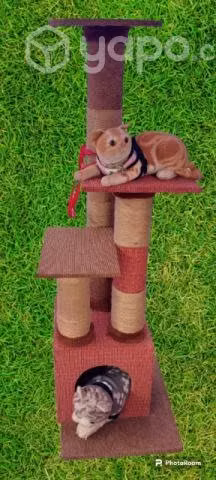 Rascadores de gatos