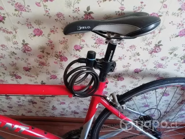 BICIClETA De RUTA GIANT TCR