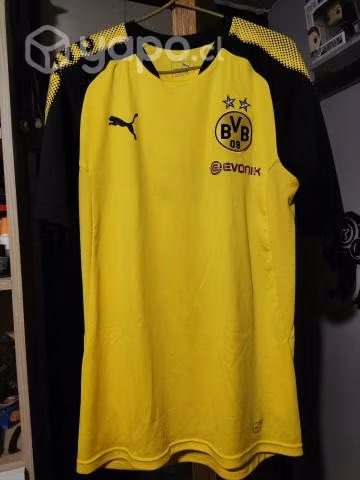 Camiseta Borussia Dortmund