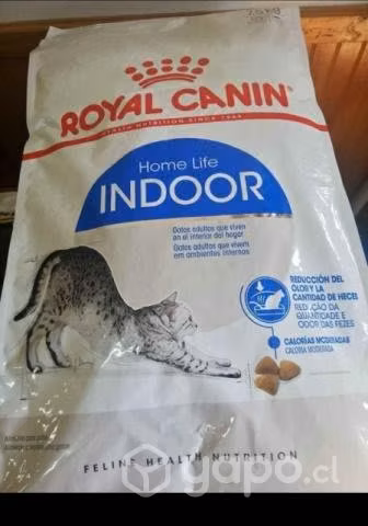Alimento Royal Canin Gato Adulto Indoor 7,5kg