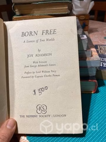 Libros para lectura en ingles