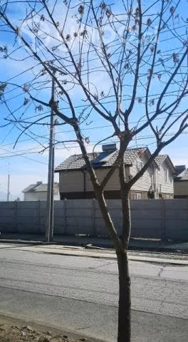 Casa en Buin