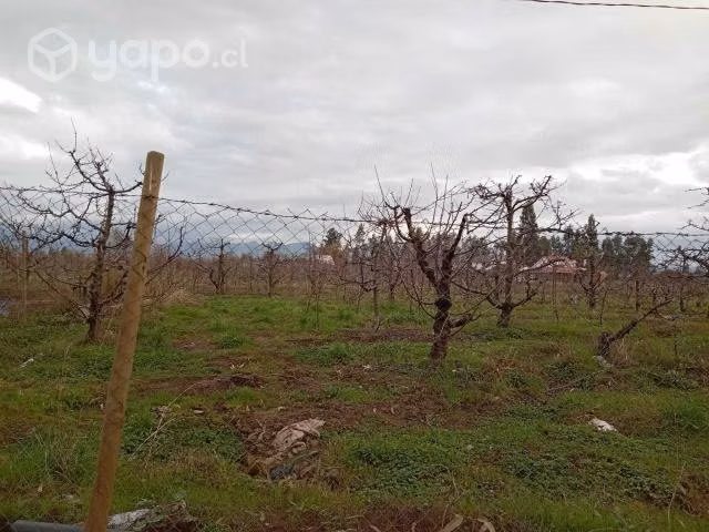 Parcela de agrado