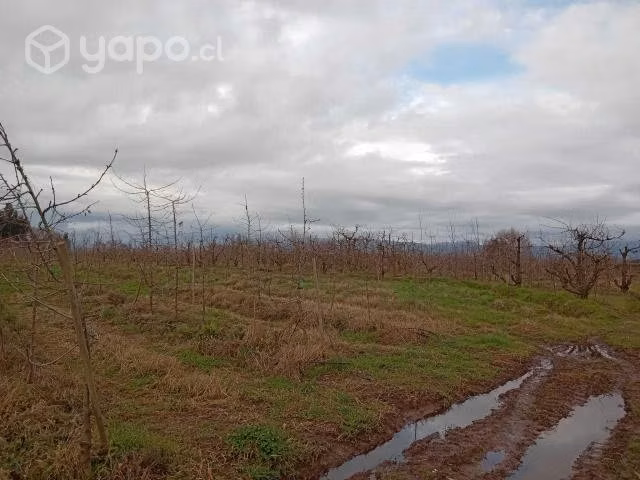 Parcela de agrado